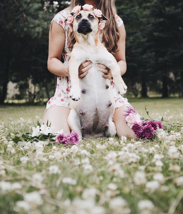 Fusee, the two-year-old semi-professional dog model, is positively glowing in all the photos.