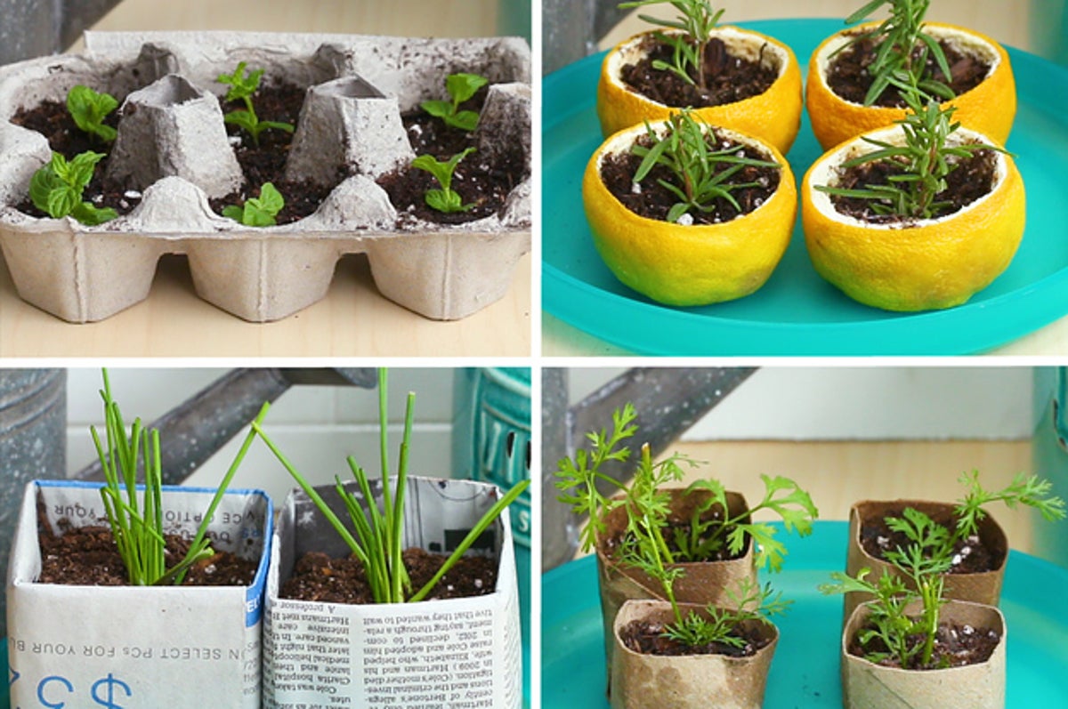 12 Recycled Seed Starting Ideas • Lovely Greens