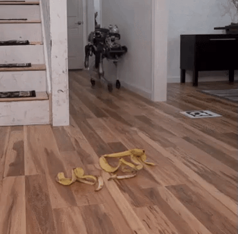 Resbalón con una cáscara de plátano