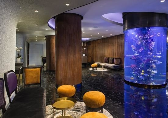 Don't forget about exclusive hotel amenities. The Concierge Services helps guests feel right at home by providing insider tips on navigating the city, while the gym access to a nearby Crunch Fitness Gym will help you keep in shape.