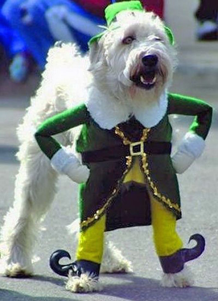 Such a cool costume.