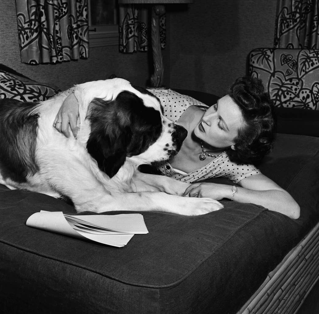 Betty lying on a bed with a dog