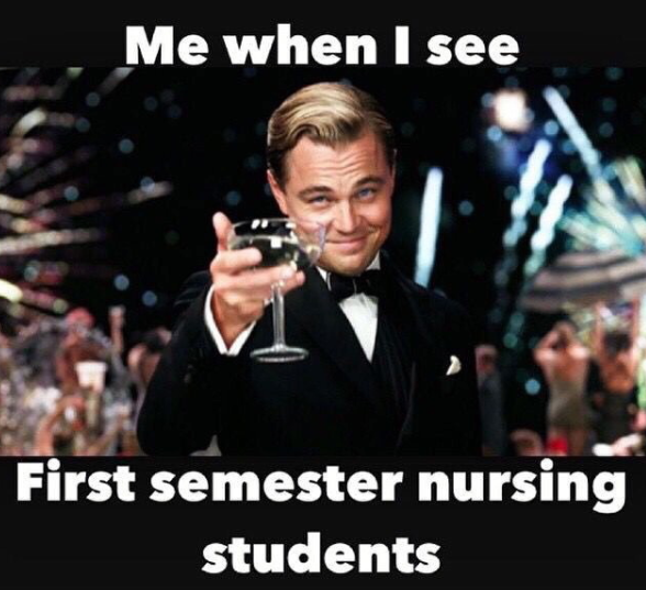 pre nursing student meme