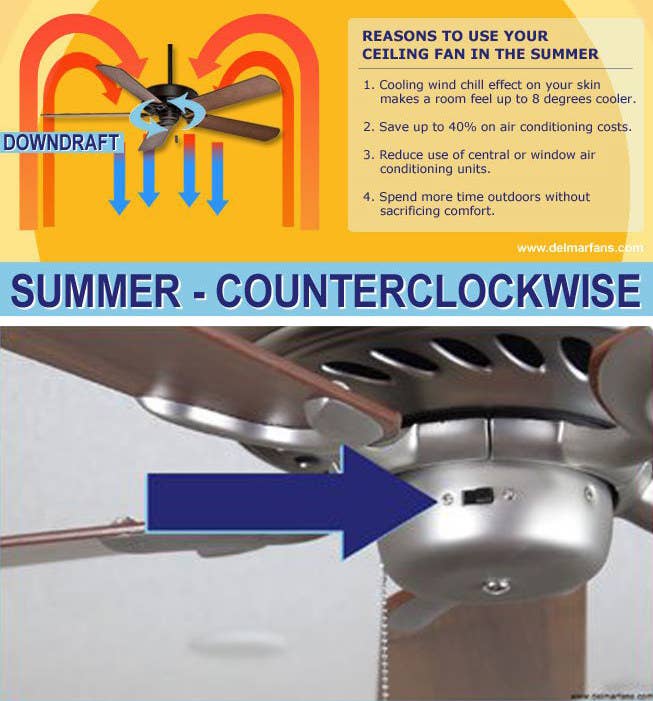 Which Way Does Your Ceiling Fan Go In The Summer Shelly Lighting