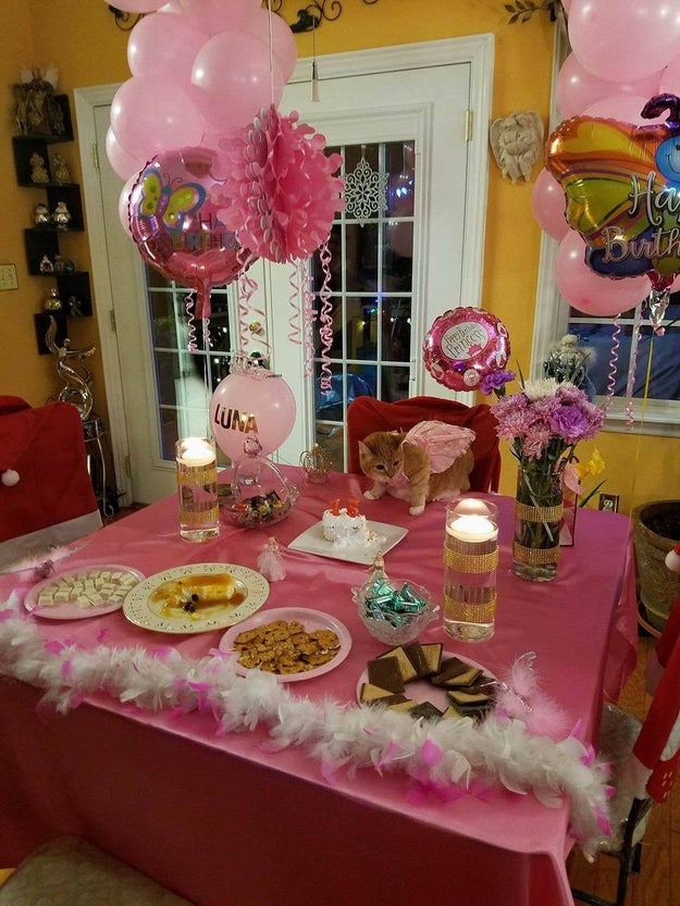 Once the big day arrived, Luna was surrounded by impeccable decorations (yes, there was a LUNA balloon), an exclusive guest list, and plenty of food.