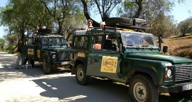 One of the best ways to explore the uninhabited parts of Abu Dhabi is via a 4x4 Jeep safari. Owing to the rugged terrain of the desert and arid zones of Abu Dhabi, a 4x4 vehicle is an ideal way to cover to the ground while traveling comfortably.