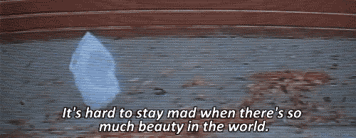 "The last monologue from American Beauty always brings tears to my eyes and reminds me that life is worth living. Makes me want to go on an adventure and live my life." –Pearl Black, Facebook