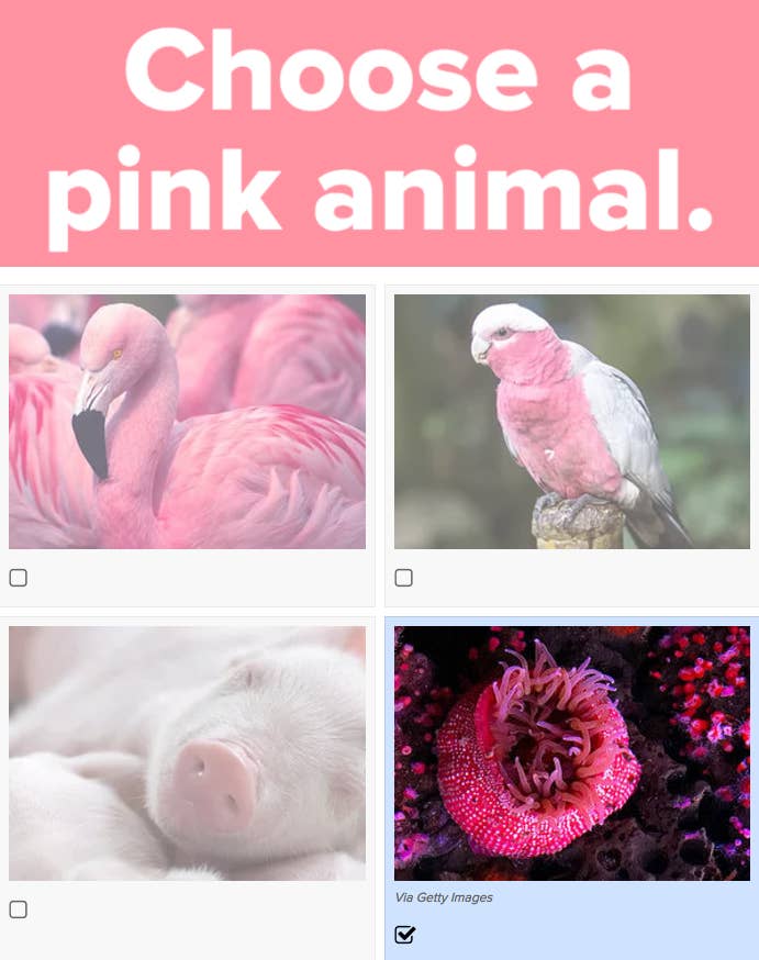 11 Quizzes That Are Absolutely Guaranteed To Brighten Your Day