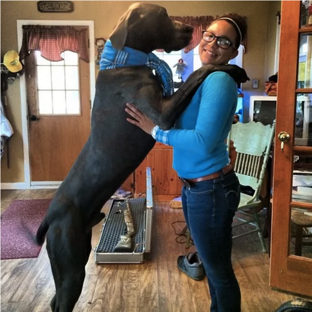 This dog plays in the NBA. He dunked on LeBron: