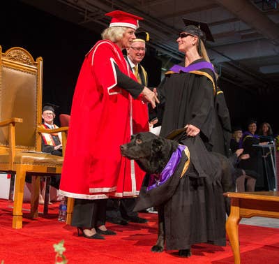 According to CTV Calgary, this is the second time a guide dog has gotten an honorary degree from the University of Calgary.Knight and Cashmere got a huge round of applause from all the other graduates when they crossed the convocation stage together.