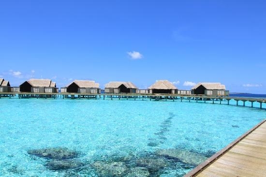 A concept tried-and-true firstly in the South Pacific, the best overwater villas are a rare find since most locations do not have the required setting. Only a handful of locations are identified in the world as ideal for overwater villas as they generally demand a volcanic island with a tranquil lagoon surrounding it.