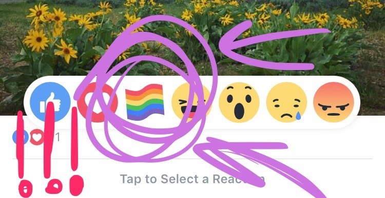 new gay flag emoji crossed oug
