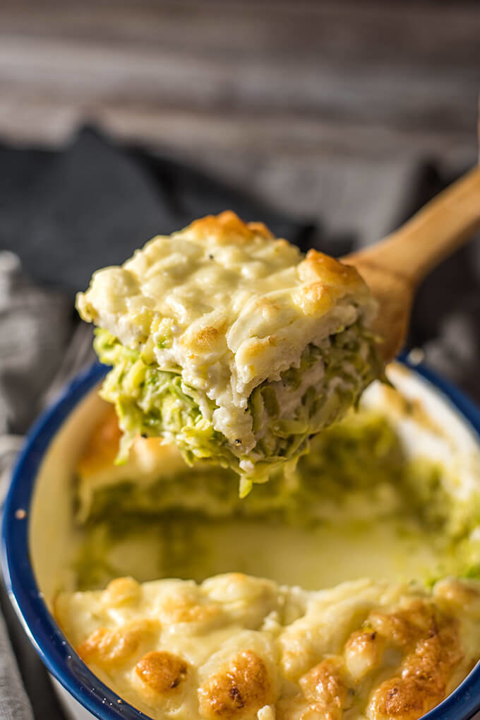 Why have plain lasagna noodles when you can have zoodles in a casserole dish? Check out the recipe here.