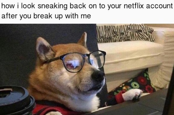 15 Meme Accounts You Should Start Following Immediately 15 Meme Accounts You Should Start Following Immediately