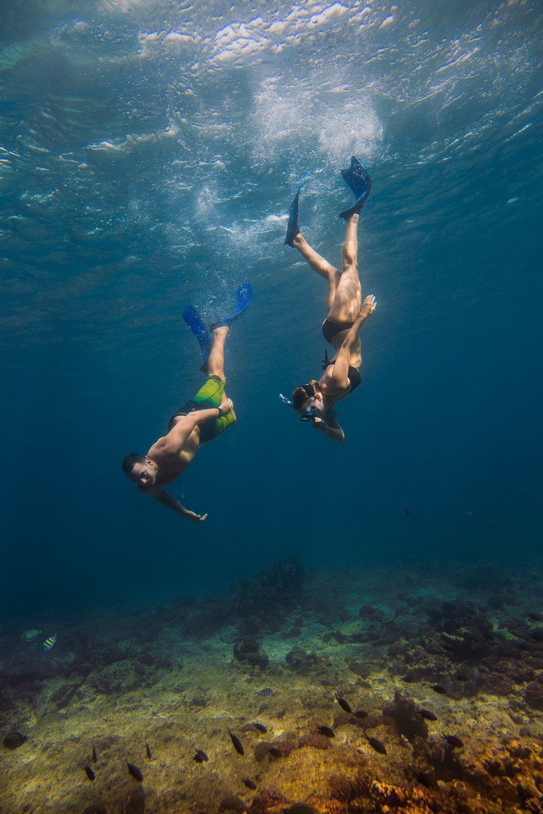 Adding a touch of adventure to your romantic getaway, snorkelling under the blue waves is an exciting activity one can try out as part of your Dhoni cruise. Head off to a secluded reef and explore the stunning marine life of Maldives hand in hand with your significant other.