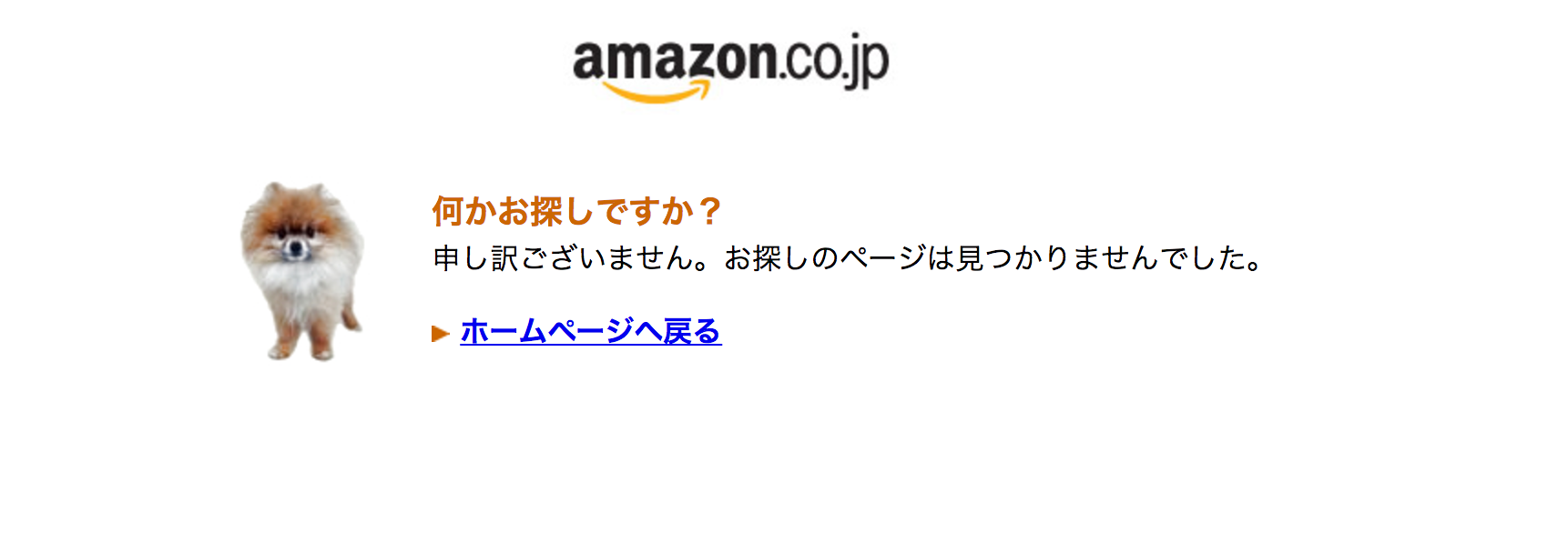プライムデーで一躍人気に Amazonのエラーページに表示されているかわいい犬の正体は プライムデーで一躍人気に Amazonのエラーページに表示されているかわいい犬の正体は