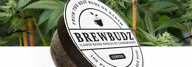 Brewbudz top
