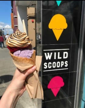Wild Scoops in Anchorage, Alaska.