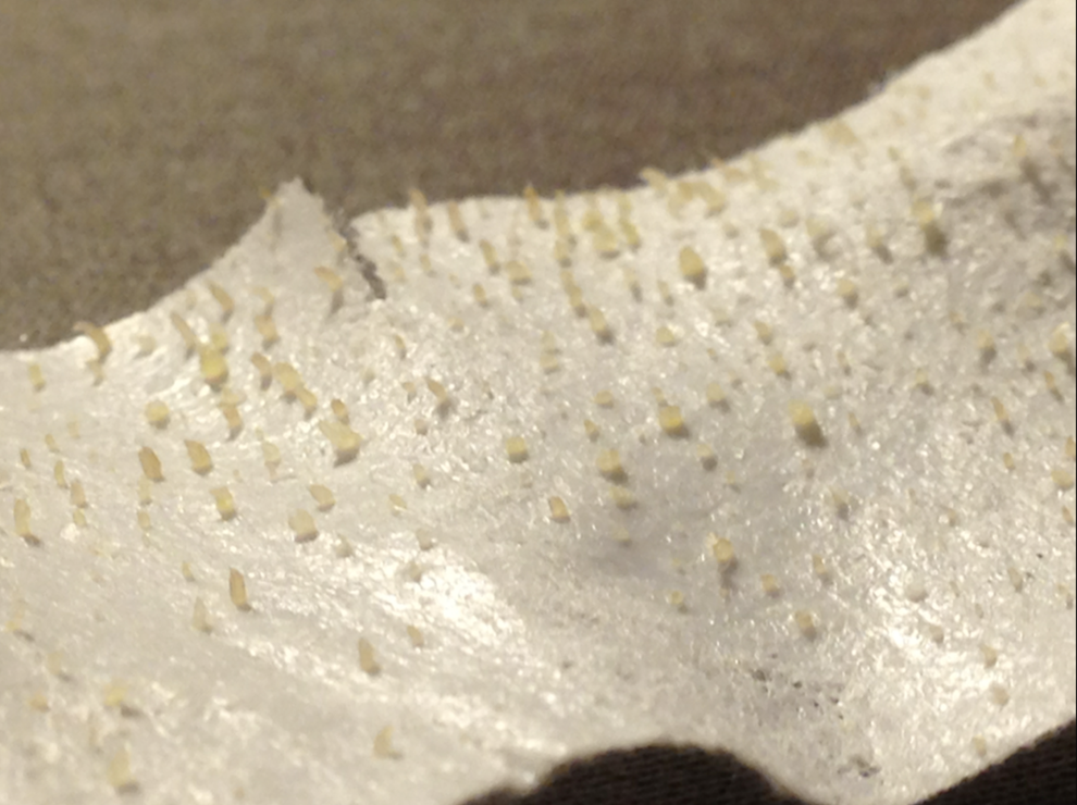 Here's What You Should Know Before Using Pore Strips