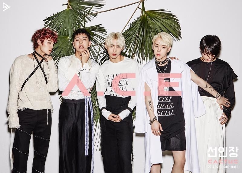 A.C.E is a 5 member boy group who debuted on May 23, 2017 with "Cactus." The boys were known for their covers of other K-Pop songs and also for working with 1Million Dance Studio.