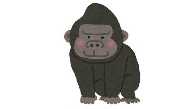 豪華 覚えてる アニメ銀魂 声優だれでしょうクイズ 銀魂