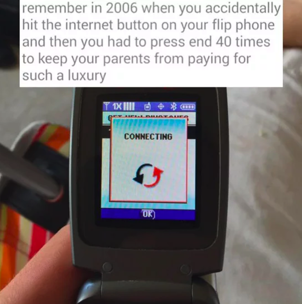 A meme about accidentally hitting the internet button on a flip phone in the 2000s with a image of the screen of flip phone saying &quot;connecting&quot; 