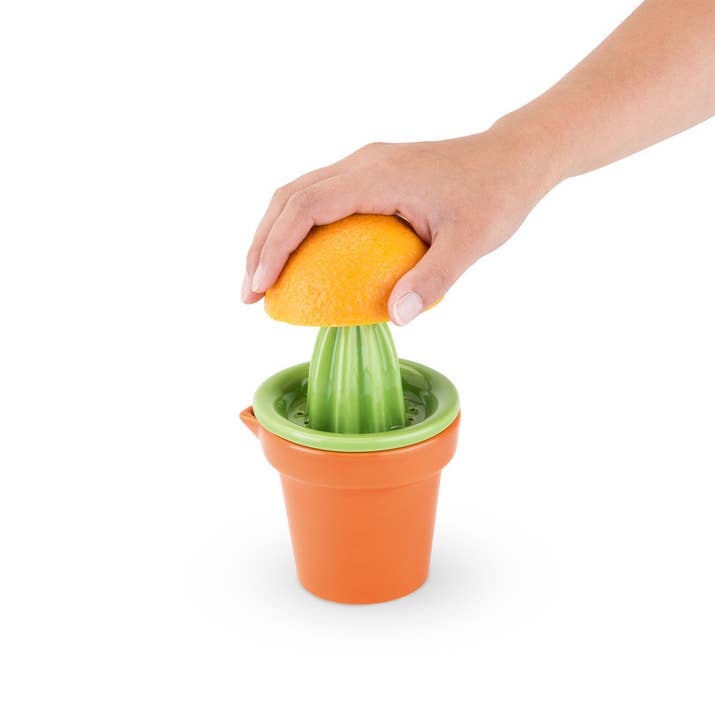 This would look just as good on your windowsill as on your kitchen countertop. The pot can collect up to one cup of juice and the whole thing is dishwasher-safe!Get it from Domino for $12.74.