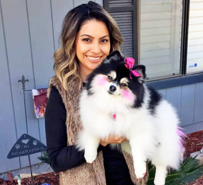 Resultado de imagen para pomeranian dog, hugging a woman