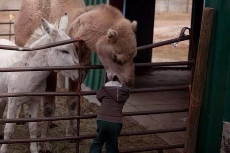 And this kid is probably done with petting zoos for life: