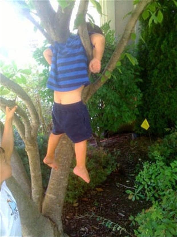 This tree-hugger, who got most unfortunately stuck: