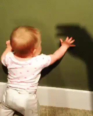 This kid will never trust another shadow puppet again: