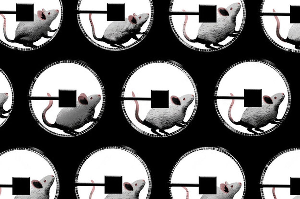 How Uber S Hard Charging Corporate Culture Left Employees Drained The woman says she suffered terror, pain and humiliation as jail staff ignored her pleas for help. hard charging corporate culture