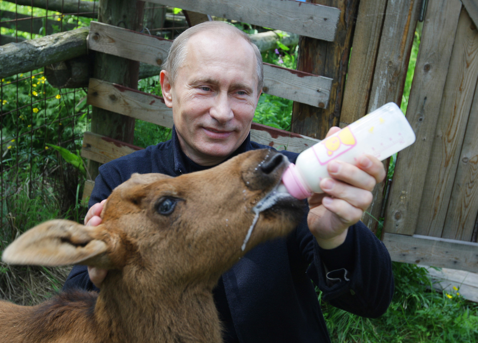 28 WTF Pictures From Vladimir Putin's Crazy Life