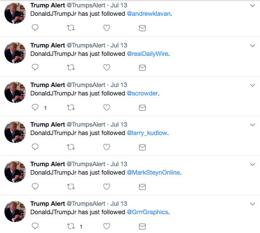 In general, the bot does an excellent job chronicling Don Jr.'s beefed up conservative media Twitter list (which may have had something to do with a noticeable uptick in his tweeting in defense of his father).