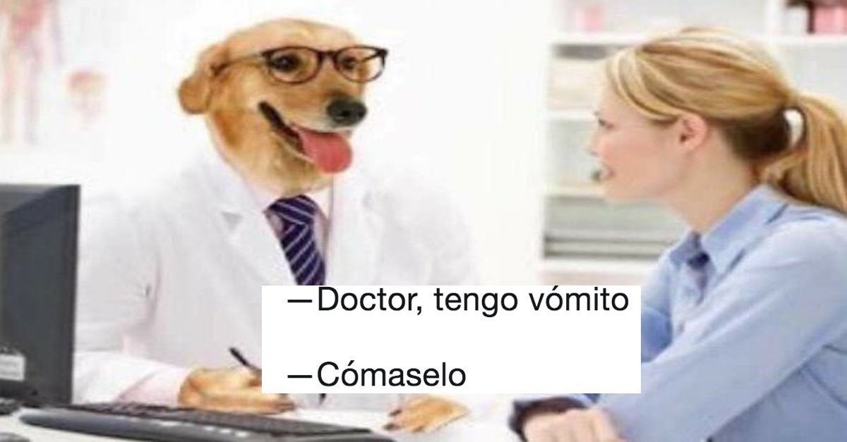 Estos 21 memes del "Doctor Perro" son la cura para todos tus males