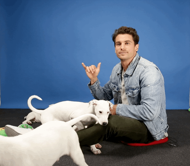 "It'd be the shaka. Definitely the shaka."