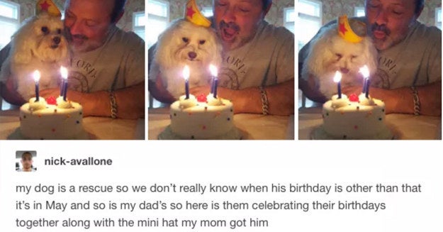 17 Sweet, Wholesome Tumblr Posts That'll Brighten Your Day