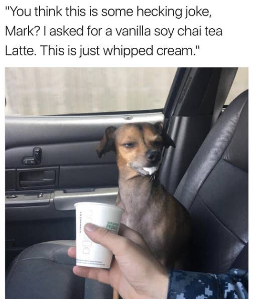 Memebase Pupper Page 3 All Your Memes In Our Base Funny