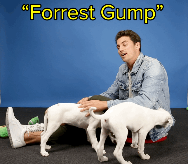 "I can't go past Forrest Gump."