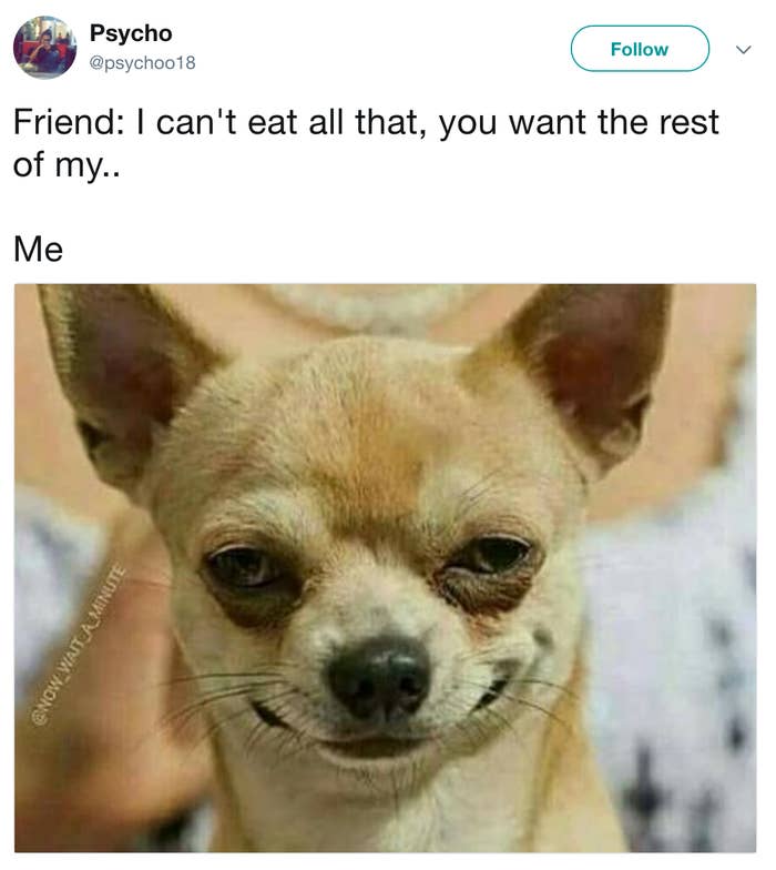 Chihuahua Smiling With Teeth Meme