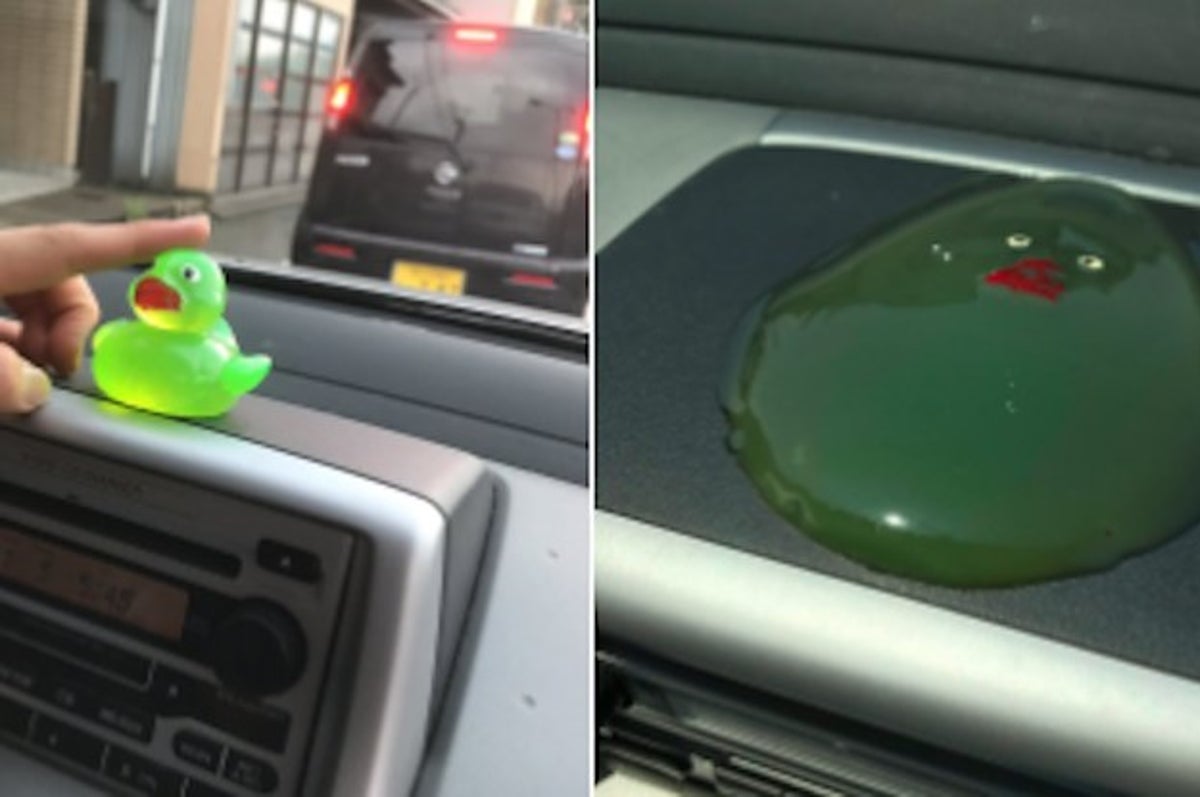 The True Story Behind The Melted-Duck-On-Dashboard Tweet Is