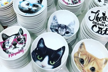 使うのもったいない」セリアの猫皿が可愛すぎるとSNSで話題に