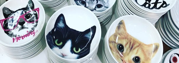 使うのもったいない」セリアの猫皿が可愛すぎるとSNSで話題に