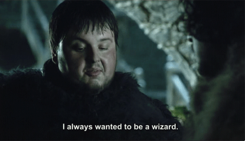 So Sam might not become a wizard, but he could be a bestselling author.