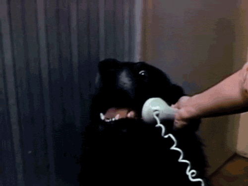 Já que ninguém consegue ler sua mente, você nunca sabe se está sendo grosso ou objetivo, bonzinho ou trouxa.