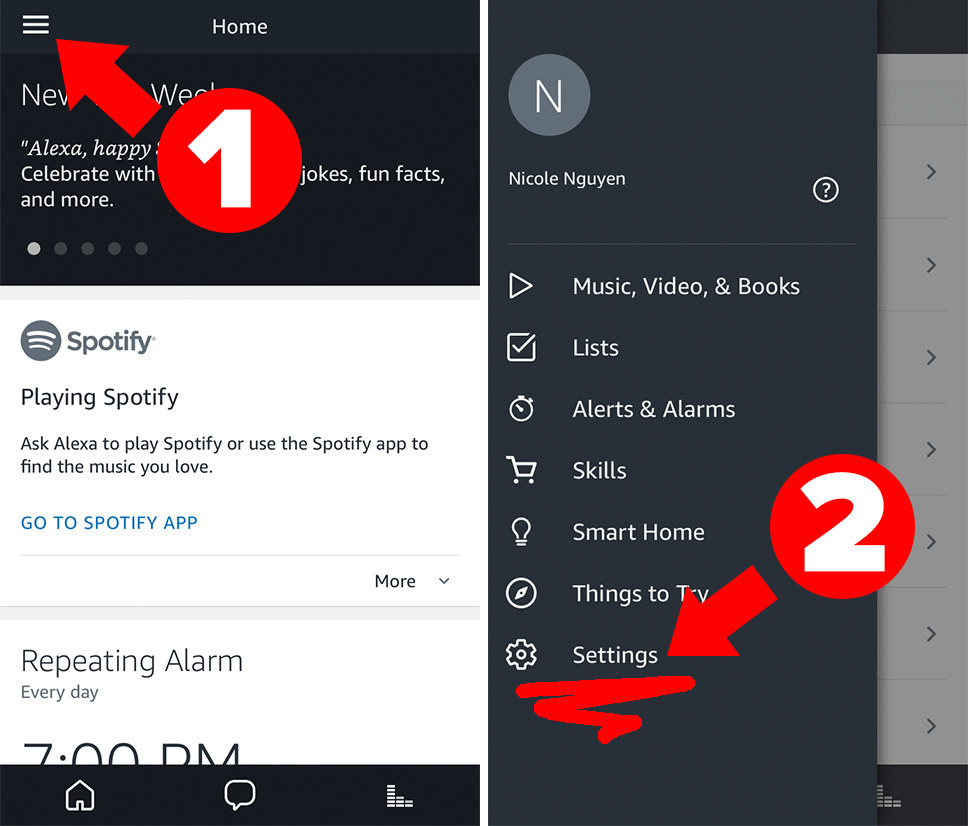 alexa spotify alarm