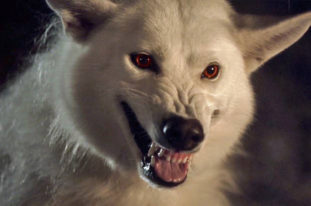 Here S Why Jon Snow Didn T Pet Ghost Goodbye On Game Of Thrones