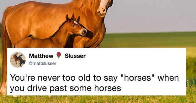 Just 23 Tweets That Are Way, Way, Way Too Relatable