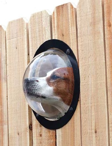 Does your pet require a little window so it can see the world from it's fenced inclosure? Well, Amazon has a product for you!! THE PET WINDOW IN THE SHAPE OF A PERFECT LITTLE BUBBLE. Buy it Here!