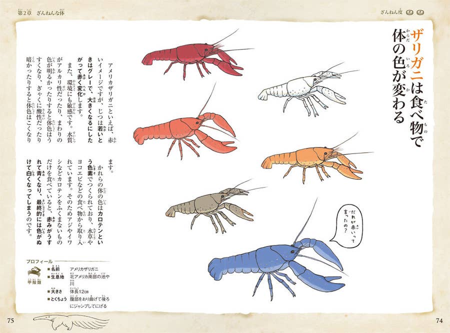 サバンナモンキーの金玉はスカイブルー 笑いが止まらない生き物の豆知識10選